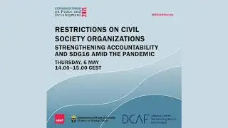 How can civil society organizations monitor progress on SDG16?