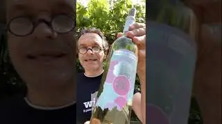 Wine Wednesdays: Urban Vines