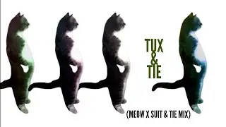 Tux & Tie (Meow X Suit and Tie)