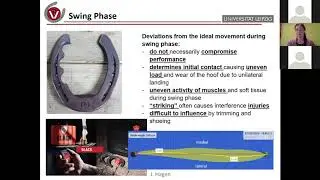Mediolateral Balance of the Hoof Part 2 (Dr Jenny Hagen Farrier Webinar)