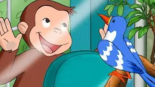 Um Animal em Extin&ccedil;&atilde;o? 🐵 George, o Curioso 🐵 Desenhos Animados