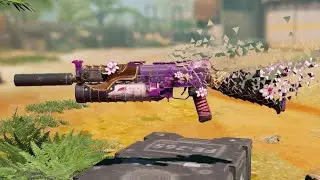 Broken pp19