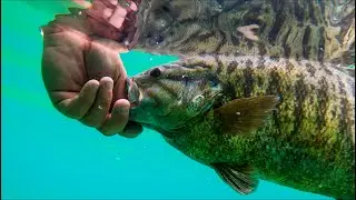 How To CATCH FISH In CRYSTAL CLEAR WATER! (Finesse and Reaction Baits)
