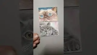 mini portraits, cat portraits, cat aceo