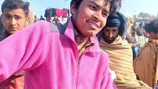 New Pigeons In Layyah Market | Layyah Kabutar Mandi | Gola Pigeon Market