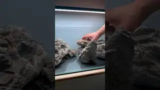 Making a Elderly Stone Hardscape Aquascape, Wio 60F Aquarium