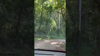 13 de janeiro de 2026