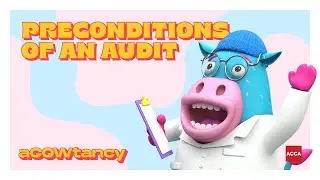 Preconditions of an Audit: Explained