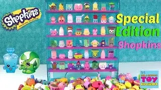 Shopkins Special Edition Collector Case Let's Decorate DIY Season 1 2 3 4 Mystery | PSToyReviews