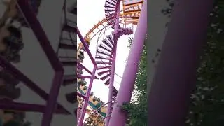 Roller Coaster Loops