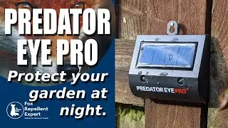 Aspectek Predator Eye Pro - Garden fox, badger, rabbit night protection - FoxRepellentExpert.com