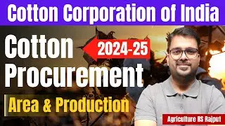 Cotton Procurement In India | Area & Production of Cotton 2024 25