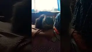 #мотивация