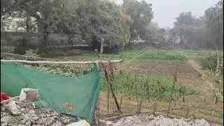 Build-to-Suit Warehouse Opportunity | 1.5 Acres | Bamnoli, Delhi | Immediate Availability