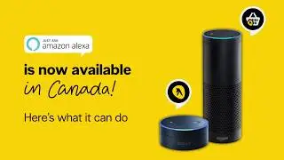 Yellow Pages Launches YP and YP Grocery Skills for Amazon Alexa