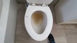 1711 Victor What will we find in today's toilet?