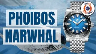 Hit Or Miss? The New Phoibos Narwhal