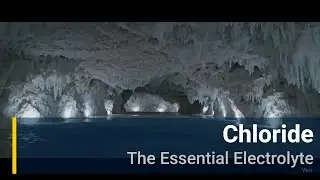 Chloride: The Essential Electrolyte