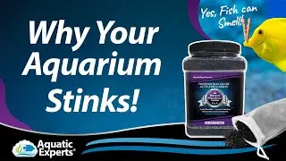 HOW TO USE AQUATIC EXPERT'S ACTIVATED CARBON