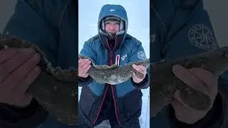 Червь или хлеб ???