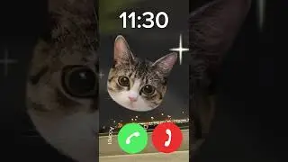 Hello Cat ,🐱 Sounds good #ringtone