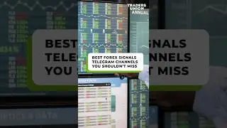 Forex Signals on Telegram | How to Use Them