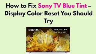 How to Fix Sony TV Blue Tint &ndash; Display Color Reset You Should Try
