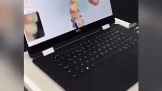 3D Digital Scan