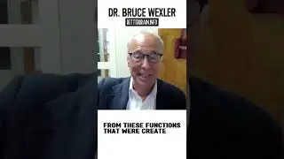 BettterBrain.Info: How does the Brain Works?
