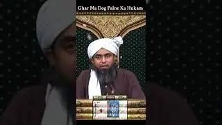 Ghar Ma Dog Palne Ka Hukam ||Engineer Muhammad Ali Mirza #shorts
