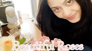 My Beautiful Roses 🌹