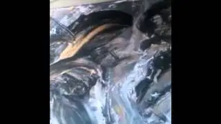 Abstract painting makeup techniques  (Created with @Magisto