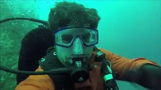 Diving with Pelagic Dive Charters