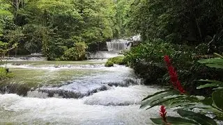 YS Falls and Black River Safari, Jamaica