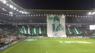 Curva Sul, 