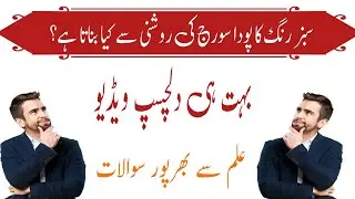 General Knowledge Questions and Answers Daily GK Quiz 2025 Boost Your Brain Power&rdquo; Gk,Quiz,Urdu Quiz
