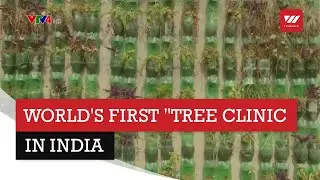 World first 