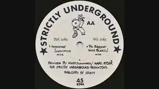 Sonic Experience - Hardcore Innovator (The Biggest Nosebleed)