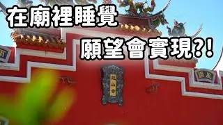 廟裡不僅能睡還能祈願!?  阿白親手幫神明作畫!?｜ 寶島神很大online