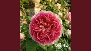 심장이 반했나봐