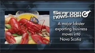 A major lobster exporting business moves into Nova Scotia