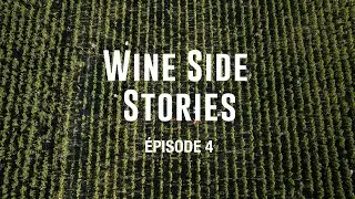 Wine Side Stories #4 : Immersion au cœur des vendanges