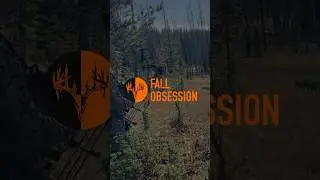 WE ARE FALL OBSESSION