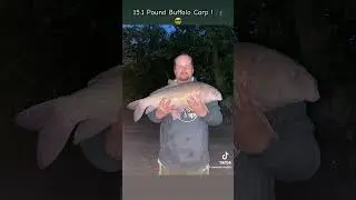 Caught My 1st Buffalo Carp ! 😎 🎣 #Shorts #Fyp #Buffalo #Carp #Caught #Angler #Indiana #Fishing