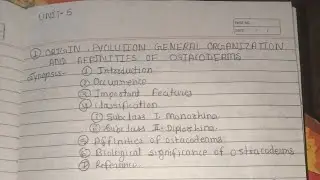 origin, evolution general organisation & affinities of ostracoderms ll MSc 3 sem zoology notes in