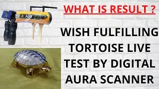 wish fulfilling tortoise live test by digital aura scanner | vastu | Wish Fulfilling Tortoise