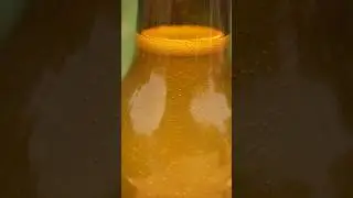 Odkryj tajemnice domowej produkcji cydru! 🍎