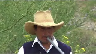 Chirocos de Quiches