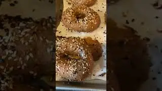 Trying to learn how to make Sourdough Bagels. #sourdough #sourdoughbaking #bagels #everythingbagel