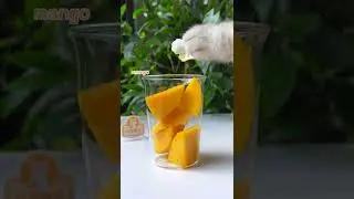 😲REAL Fruit Cake + Mango Latte, So Perfect!😻 | Chef Cat Cooking  #tiktok #Shorts
